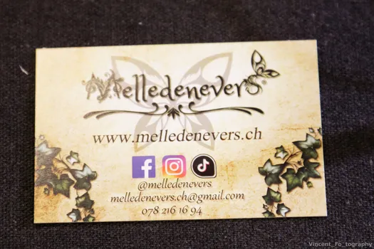 Copyright : Vincent Folliard